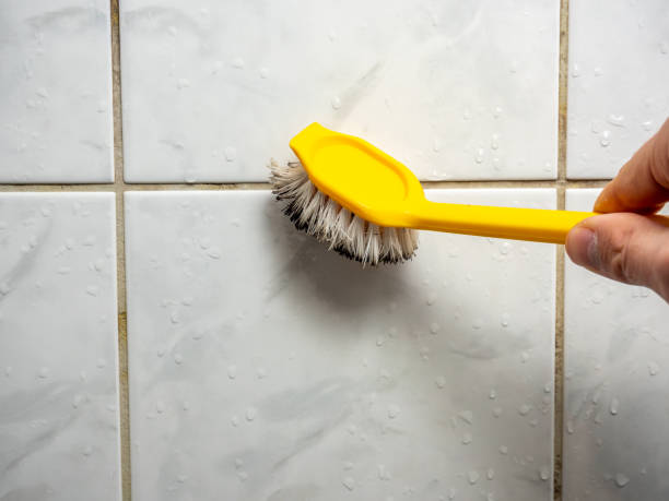 Trusted Leisure Village East, NJ Mold Removal Experts