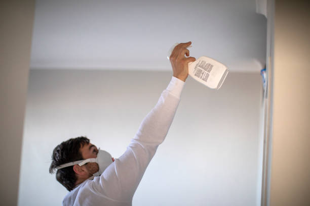 Best Residential Mold Removal  in Leisure Village East, NJ