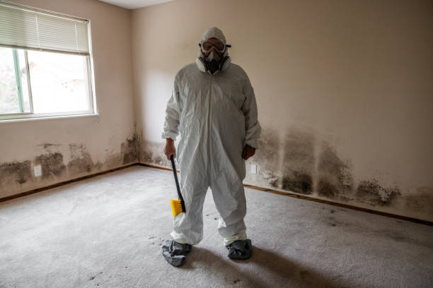 Best Attic Mold Removal  in Leisure Village East, NJ